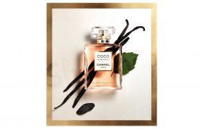 عطر مشابه کوکو شنل | ادکلن زنانه | ادکلن کوکو شنل | عطر کوکو شنل | ادکلن Coco Mademoiselle Chanel